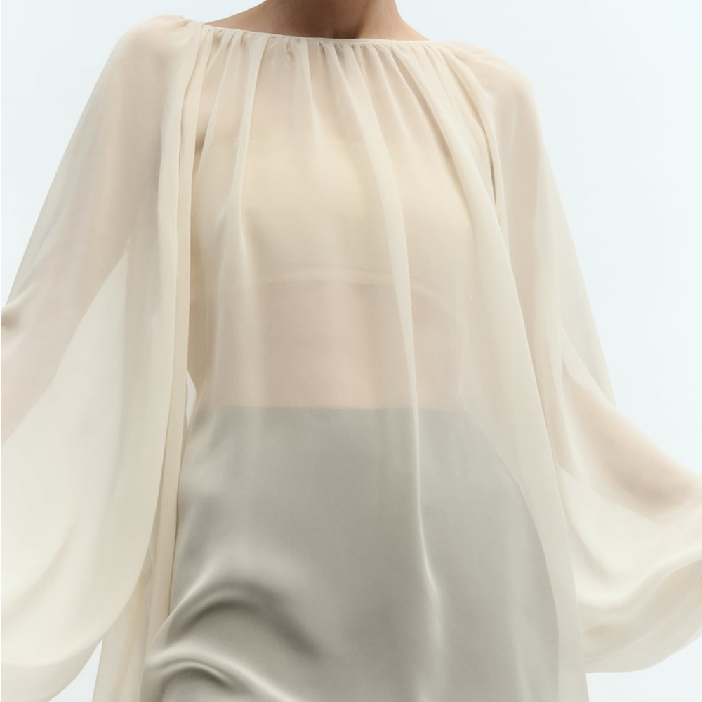 Zara Sheer Open Back Top - Picture 4 of 13